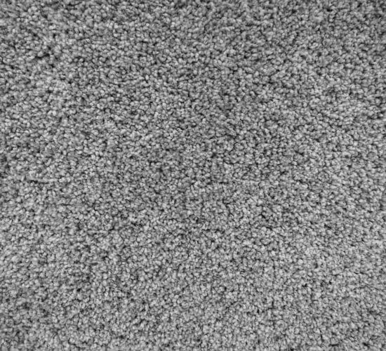 Philadelphia Modern Flooring Carpet Flooring